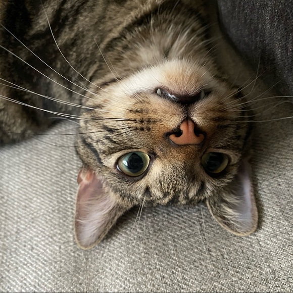 Meet your Posher, Karina - Picture 2 of 5